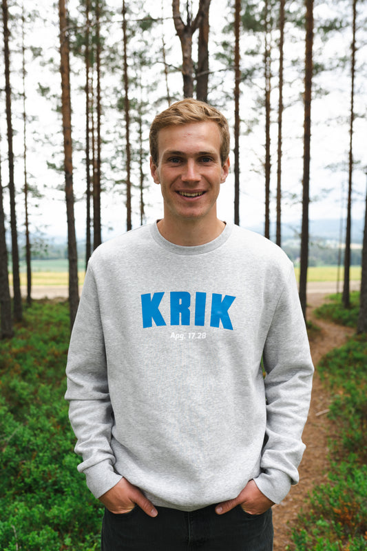 Crewneck grå (blå logo)